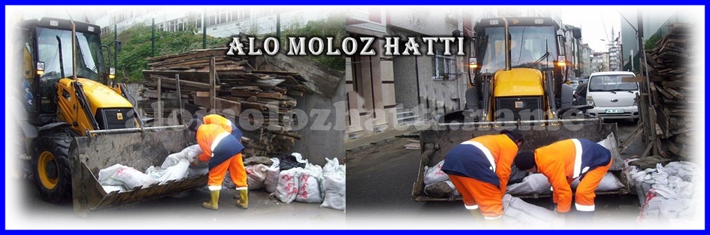ALO MOLOZ HATTI