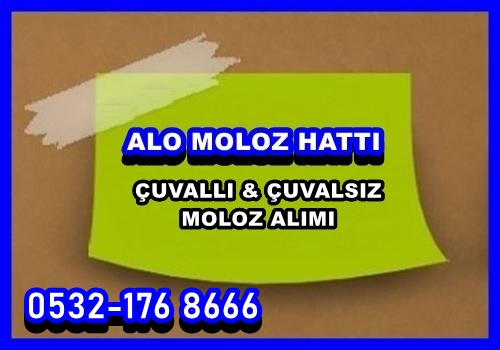 İBB {BELEDİYE} MOLOZ ATIMI