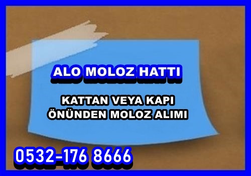 İSTANBUL BELEDİYESİ MOLOZ ATIMI