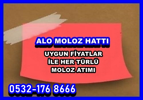 BÜYÜK ŞEHİR BELEDİYESİ MOLOZ ATIMI